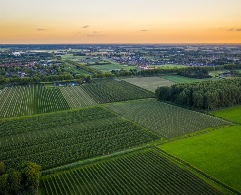 Netherlands aerial agriculture