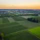 Netherlands aerial agriculture